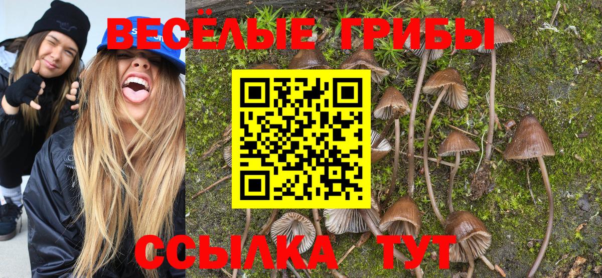 Галлюциногенные грибы Cubensis  Вход с VPN  Елец 