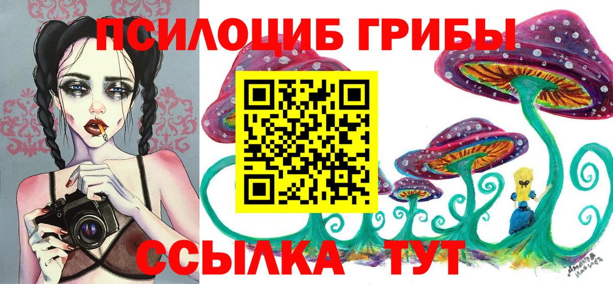 Галлюциногенные грибы Cubensis Елец
